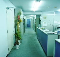 廊下